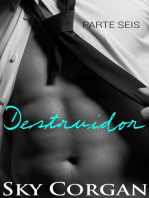 Destruidor - Parte Seis: Torn Series