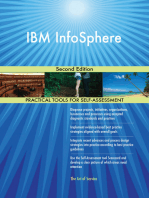 IBM InfoSphere Second Edition