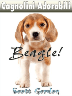 Cagnolini Adorabili: I Beagle: Cagnolini Adorabili