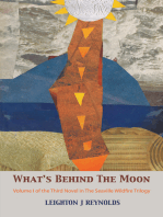 What's Behind the Moon