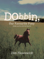 Dobbin, Our Favourite Pony