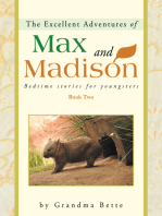 The Excellent Adventures of Max and Madison: Bedtime Stories for Youngsters