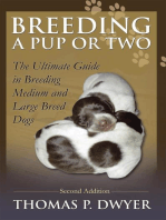 Breeding a Pup or Two: Second Addition