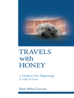 Travels with Honey: A Modern-Day Pilgrimage,  a Gift of Love