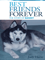 Best Friends Forever: The Story of Bandit