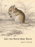 Joey the Motor Home Mouse