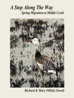 A Stop Along the Way: Spring Migration at Middle Creek