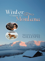 Winter Comes to Montana