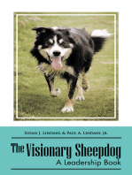 The Visionary Sheepdog