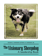 The Visionary Sheepdog: A Leadership Book