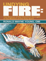 Undying Fire:: The Mission of the Church in the Light of the Mission of the Holy Spirit