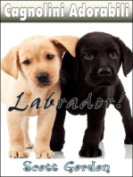 Cagnolini Adorabili: I Labrador: Cagnolini Adorabili