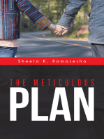 The Meticulous Plan