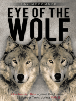 Eye of the Wolf