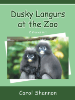 Dusky Langurs at the Zoo