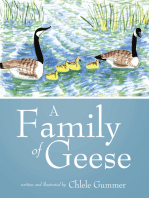 A Family of Geese