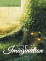 Flight of Imagination