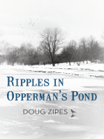 Ripples in Opperman's Pond