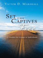 Set the Captives Free: 12 Studies  for Groups or Individuals