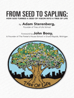 From Seed to Sapling