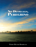 No Desmayes, Peregrino
