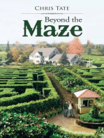 Beyond the Maze