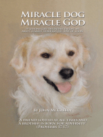 Miracle Dog Miracle God: What God the Father Taught Me About Himself Through the Love of a Dog