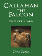 Callahan the Falcon: Tales of Calarr