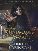 The Mindmage's Wrath: The Academy Journals, #2