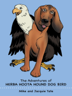 The Adventures of Herba Hoota Hound Dog Bird