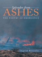 Splendor from Ashes: The Poetry of Emergence