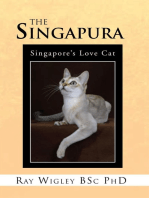 The Singapura: Singapore’S Love Cat