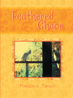 Feathered Chaos