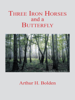 Three Iron Horses and a Butterfly