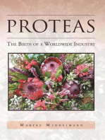 Proteas: The Birth of a Worldwide Industry