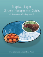 Tropical Layer Chicken Management Guide: a Sustainable Approach