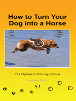 How to Turn Your Dog into a Horse