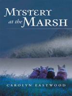 Mystery at the Marsh