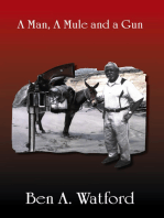 A Man, a Mule and a Gun
