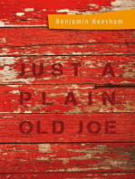 Just a Plain Old Joe