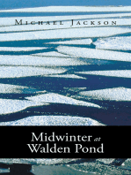 Midwinter at Walden Pond