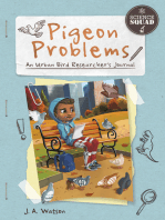 Pigeon Problems
