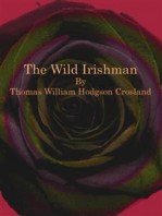 The Wild Irishman