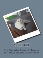 Whitie The Cat Who Rescued Humans