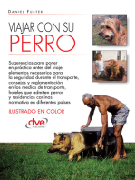 Viajar con su perro