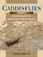 Caddisflies: A Guide to Eastern Species for Anglers and Other Naturalists