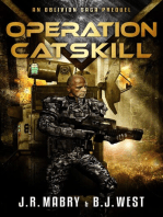 Operation Catskill