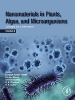 Nanomaterials in Plants, Algae and Microorganisms: Concepts and Controversies: Volume 2
