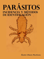 Parásitos. Incidencia y métodos de identificación.