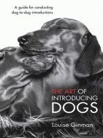 THE ART OF INTRODUCING DOGS: A GUIDE FOR CONDUCTING DOG TO DOG INTRODUCTIONS